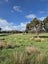 50 Painua Road, Hokio Beach, Levin - Carousel 11
