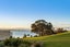 340H Pahoia Road, Whakamarama, Western Bay Of Plenty, Bay Of Plenty - Carousel 12