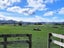 82 Jefferis Road, Waerenga - Carousel 13