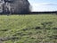 161 Richard Pearse Drive, Temuka, Temuka - Carousel 1
