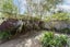 1/16 Exeter Street, Merivale, Christchurch - Carousel 14