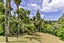 100 Huia Road, Titirangi, Auckland - Carousel 34