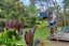 182 Verbena Road, Birkdale, Auckland - Carousel 19