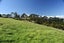 986 Tinopai Road, Matakohe - Carousel 43