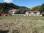 1058 Old Mountain Road, Waitetuna - Carousel 20
