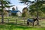 1246A State Highway 26, Eureka - Carousel 22