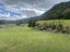 0 State Highway 10, Kaeo - Carousel 11