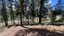 0 Letts Gully Road, LETTS GULLY, Alexandra - Carousel 9