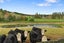 119 Ingram Road, Drury - Carousel 2