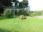10 Frasertown Road, Frasertown, Wairoa - Carousel 19