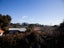 82 Stamford Park Road, Mount Roskill, Auckland - Carousel 5