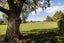 0 Harding Road, Turangaomoana, Matamata - Carousel 9