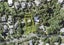 96 Braemar Road, Castor Bay, Auckland - Carousel 1