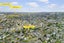 11 Ruth Street, Manurewa, Auckland - Carousel 10