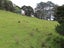 227 Mangahui Road, Whareora, Whangarei - Carousel 5