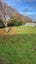 117 Nelson Street, Georgetown, Invercargill - Carousel 11