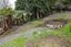 277 Waitea Branch Road, Kakahi - Carousel 18