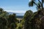 16 Rowland Street, Osborne, Port Chalmers - Carousel 3
