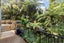 53 Rimu Road, Oratia, Auckland - Carousel 18