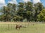 348 Hautere Cross Road, Hautere, Te Horo - Carousel 19