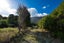 2677 Kaiuma Bay Road, Kaiuma Bay - Carousel 9
