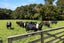 527A Whangaripo Valley Road, Whangaripo, Wellsford - Carousel 2