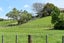 26 Hammond Street, Hairini, Tauranga - Carousel 7