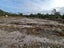 1022 Fairdown Road, Fairdown, Westport - Carousel 4