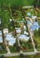 70 Acacia Drive, Levels - Carousel 23
