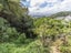 9 Coolidge Street, Brooklyn, Wellington - Carousel 20