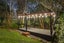 32 Hadfield Road, Peka Peka - Carousel 48