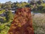17 Giles Road, Ostend, Waiheke Island - Carousel 4