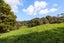 391 Taylor Road, Waimauku, Auckland - Carousel 3