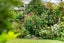 10 Matai Street, Waiuku, Waiuku - Carousel 19
