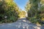 19 Korimako Avenue, Otatara - Carousel 37