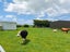 4385 Mountain Road, Ngaere, Stratford - Carousel 14