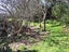 233 Hokio Sand Road, Hokio Beach, Levin - Carousel 18