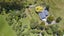 353 North Manakau Road, Manakau, Levin - Carousel 28