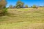 1180 Oneriri Road, Kaiwaka - Carousel 30