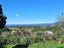335 Lindemann Road, Tahawai, Katikati - Carousel 5