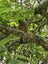 1000B Hamurana Road, Hamurana - Carousel 22