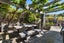 211 Wharf Road, Port Levy, Diamond Harbour - Carousel 20