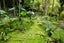 90 Laingholm Drive, Laingholm, Auckland - Carousel 36