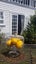 26 Seaton Street, Marybank, Nelson - Carousel 15