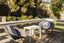 22A Subritzky Avenue, Mount Roskill, Auckland - Carousel 14
