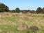6 Mead Lane, Horopito - Carousel 6