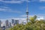 10 Gunson Street, Freemans Bay, Auckland - Carousel 17