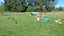 312 Clayton Road, Fairlie, Mackenzie, Canterbury - Carousel 27