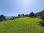 1114 Colville Road, Amodeo Bay, Coromandel - Carousel 14