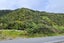 294 State Highway 67, Hector, Hector - Carousel 16